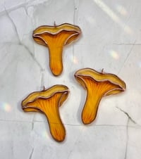 Image 2 of Chantrelle Mushroom suncatcher