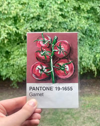 Image 2 of Garnet Tomato Pantone