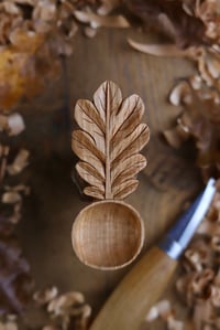 Image 1 of Oak Leaf-Coffee Sccop 