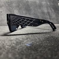 Image 10 of Spider traps