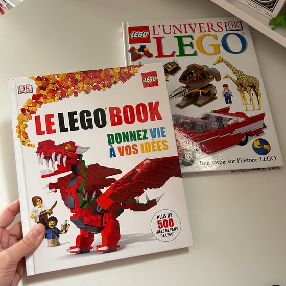 Image of LOT 2 LIVRES LEGO