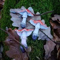 Image 1 of Magnes na lodówkę - grzyby