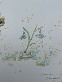 Image 2 of Slieve Bearnagh - Artwork