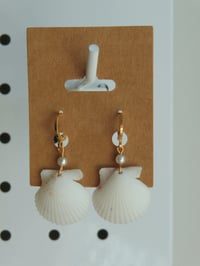 White Scallop Shell Earrings 