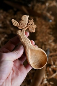 Image 6 of The Wren in The Oak Coffee Scoop