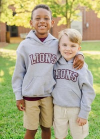 Image 3 of Youth Gray LIONS Hoodie 