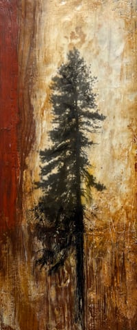 Image 1 of Ceremony- BG Mills