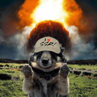 Image 1 of Barrel Shaped Canine