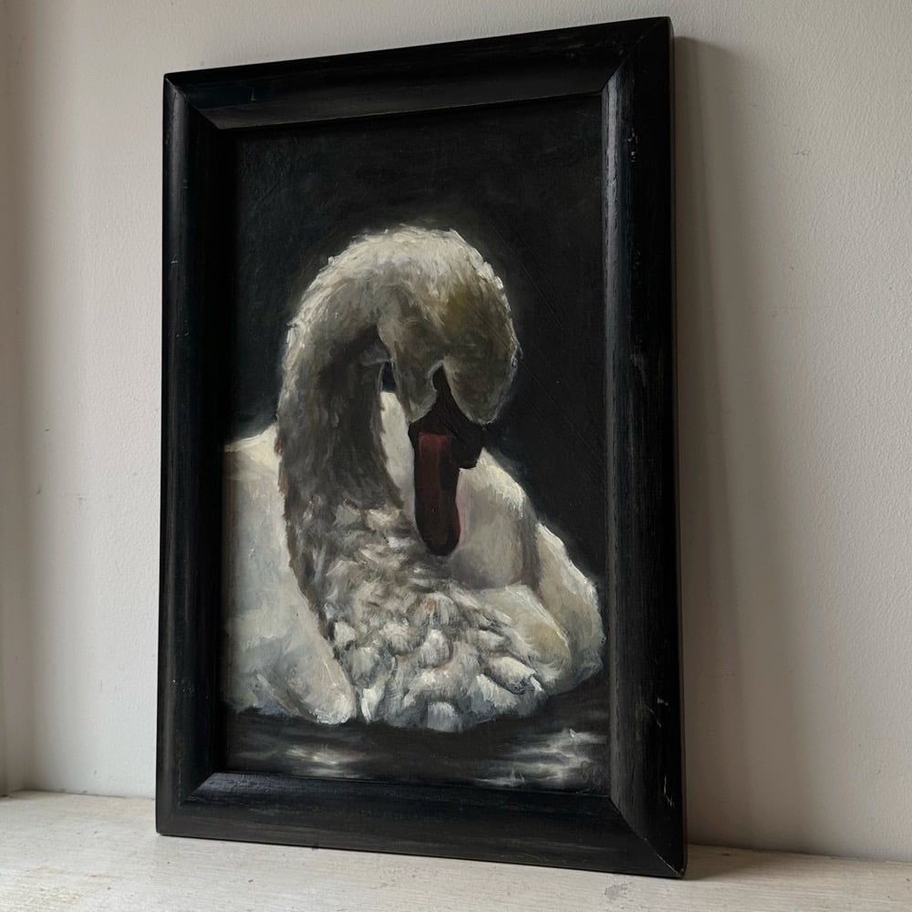 Image of swan 