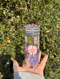 Image 1 of Andromeda