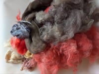 Image 1 of Cecropia Silk Moth Inspired Fiber Kit For Blending, Carding, Spinning, Felting