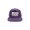 Den - Today Cap (Purple)