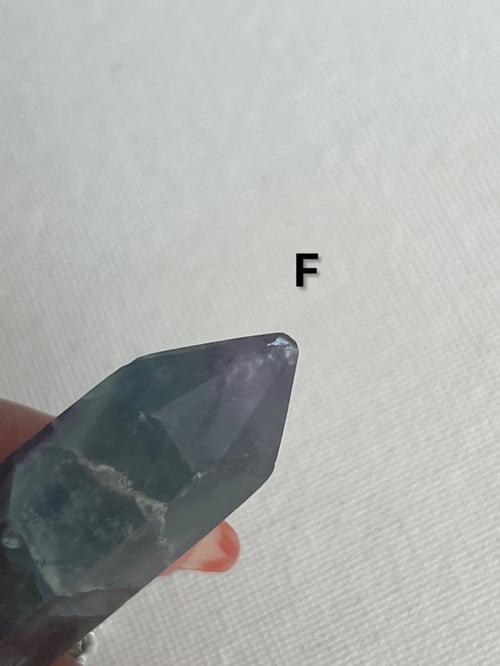 Image of TRIBE • Embellished Crystal Necklace