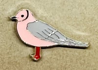 Image 2 of Ross's Gull - No.77 - Jan 2022 - UK Birding Series