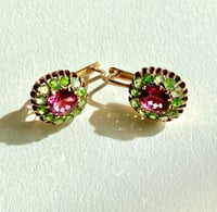 Image 1 of GARNET & TOURMALINE EARRINGS