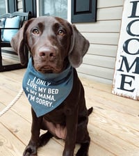 I Only Love My Bed And My Mama I'm Sorry - Dog Bandana