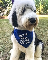 Ain't No Mama Like The One I Got - Dog Bandana