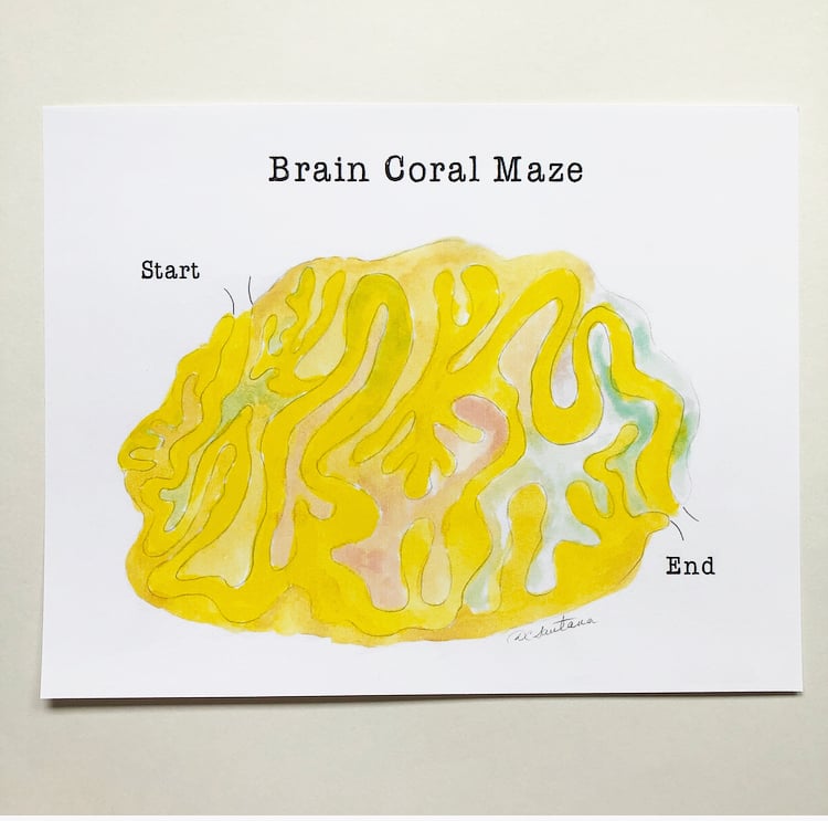 Image of Colorful Coral Reef Card Set