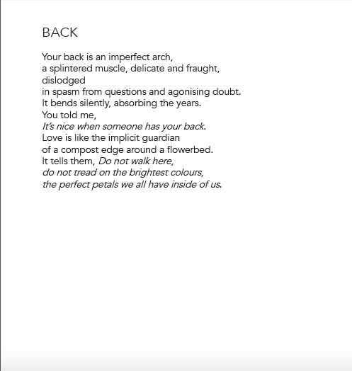 Image of Midnight Picnics in Tehran by Leilah Jane King