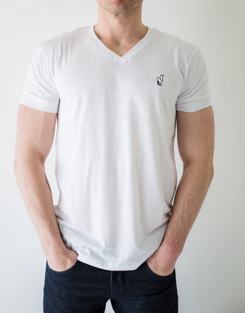 Image of Pima Premium T-Shirt Men's V-Neck