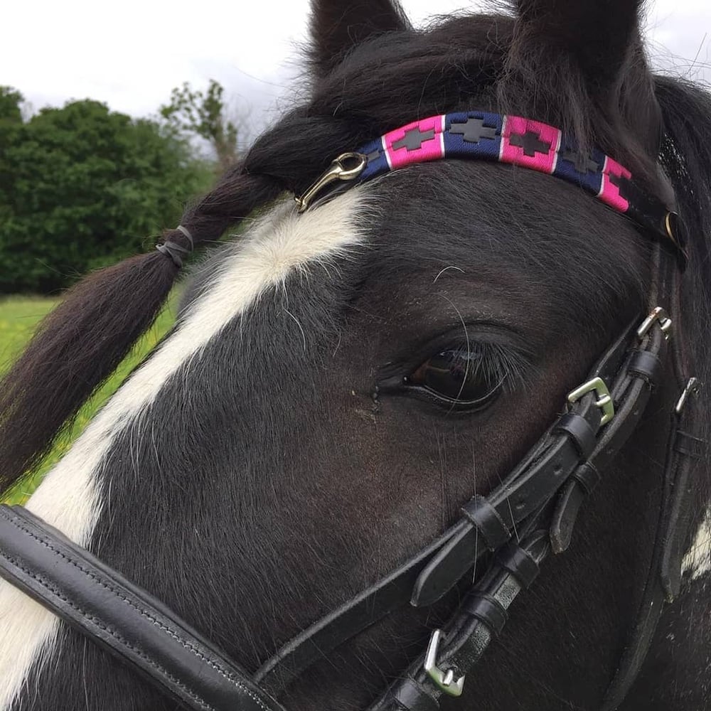 Image of Polo leather browband