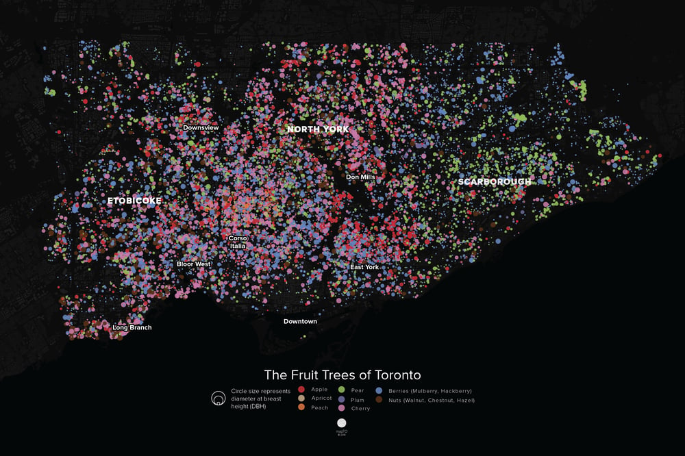 Image of The Fruit Trees of Toronto