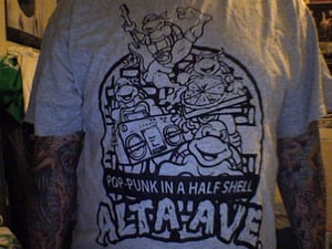 Image of pop-punk in a half shell