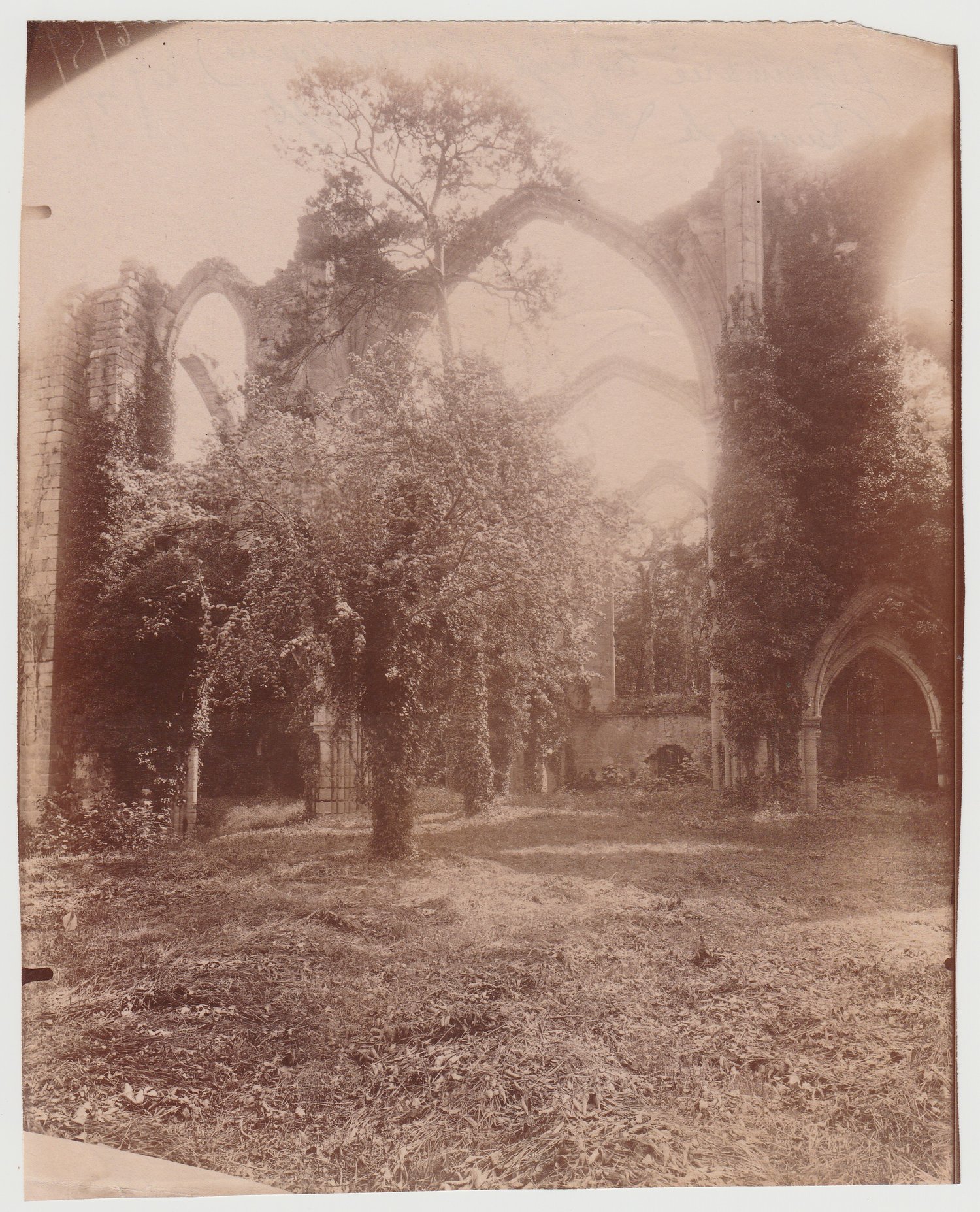 Image of Atget: the ruins of "l'Abbaye du Lys" at Dammarie-les-lys, ca. 1910