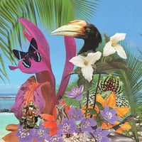 Image 1 of Monster Rally - Adventures on the Floating Island 12" [SECOND PRESSING]