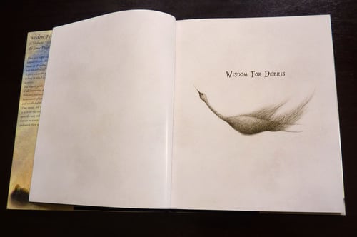 Image of OUT OF PRINT-Wisdom For Debris Art Book 