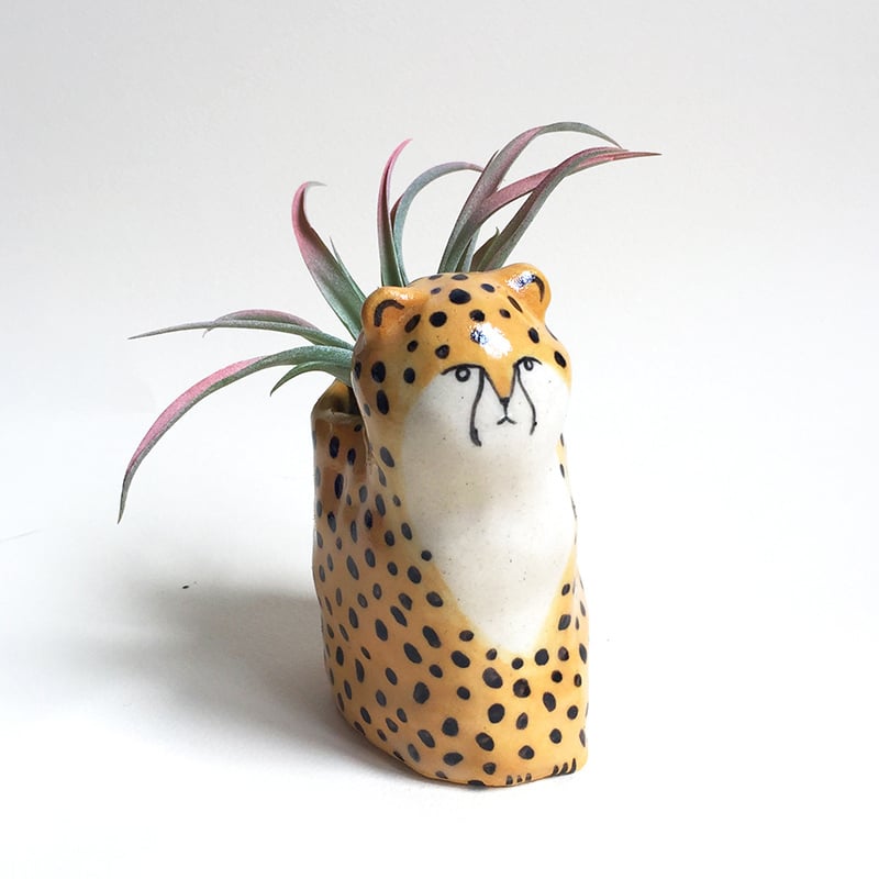 Image of Cheetah Planter
