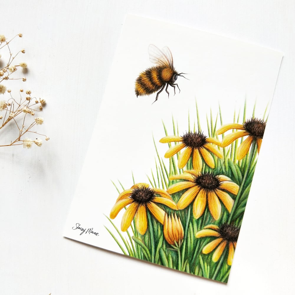Image of Bumble Bee - Fine Art Print