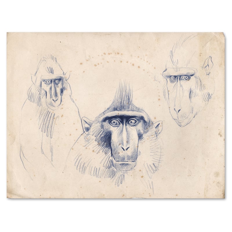 Image of Original Painting - "Macaques à crête 1" - 35x28 cm