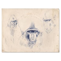 Image 1 of Original Painting - "Macaques à crête 1" - 35x28 cm