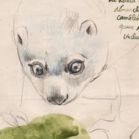 Image 3 of Original Drawing - "Cuscus et macaque à crête" - 29x23,5 cm