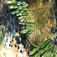 Image 3 of Original Painting - "Plante grimpante" - 20,5x25,5 cm