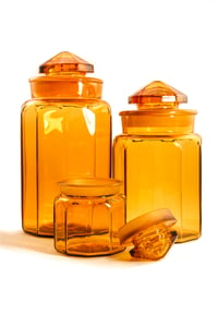 The Amber Canister Family 