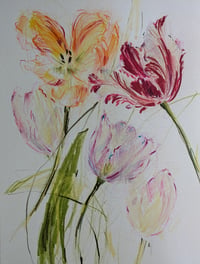 Tulips no. III