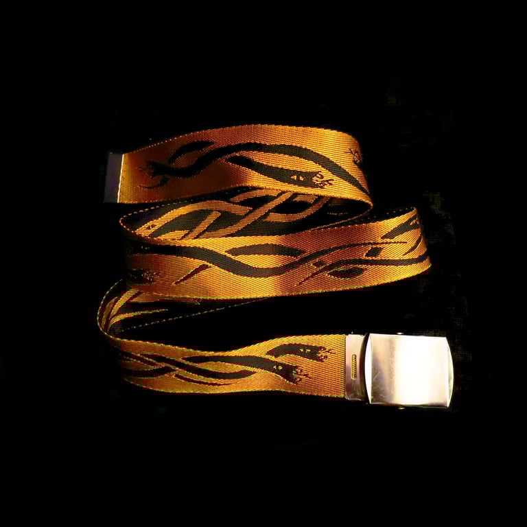 Snake Belt Image 3