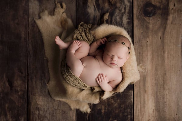 Image of Lambskin Fur