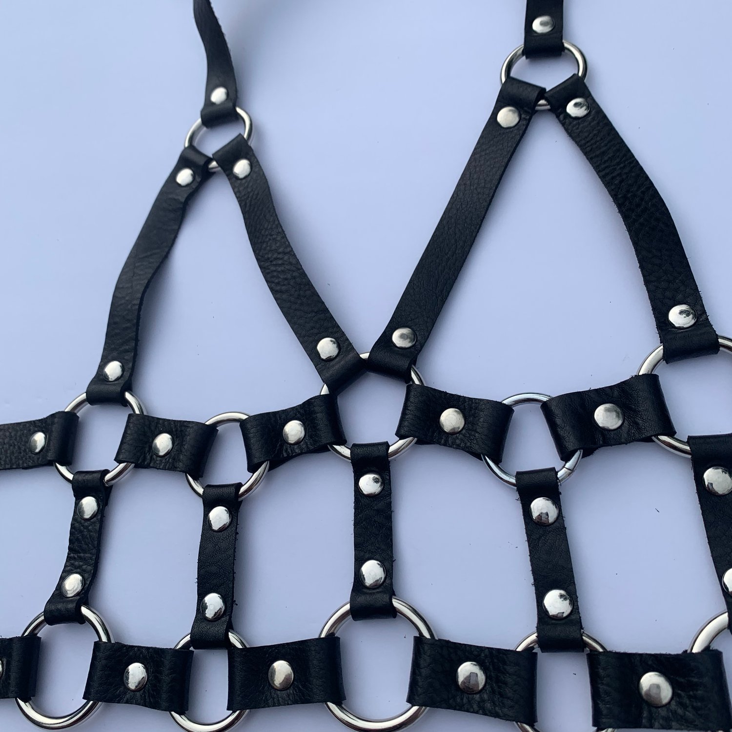 Image of Vendetta Harness