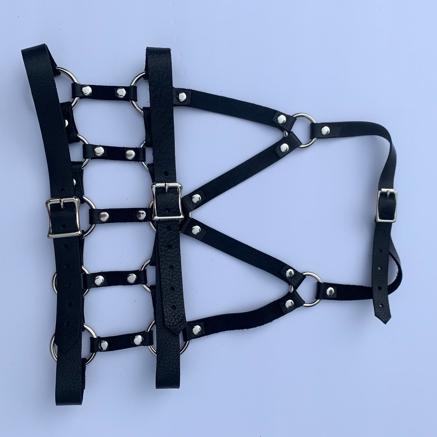 Image of Vendetta Harness