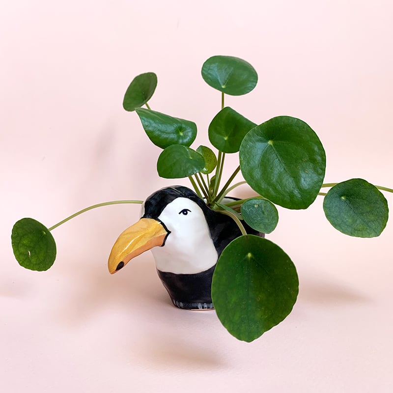 Image of Toucan Planter