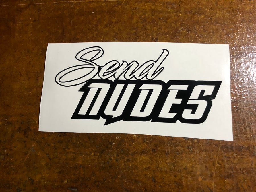 Image of 9” send nudes decal 