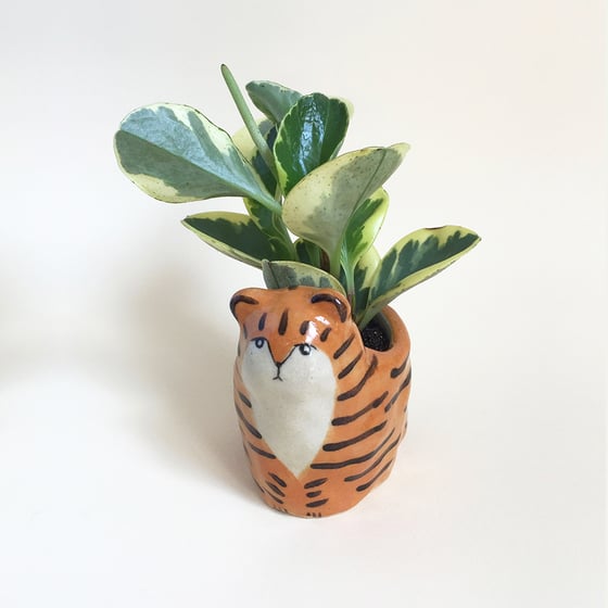 Image of Tiger Planter