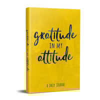 Gratitude In My Attitude 