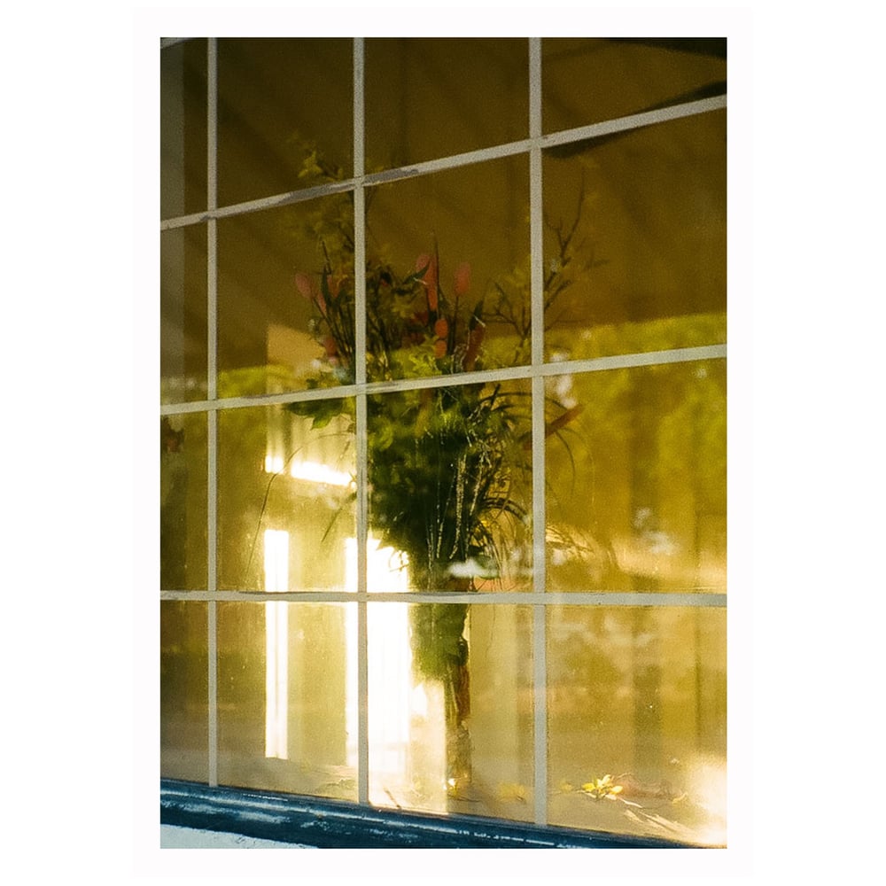 Image of “In Dreams” 5x7 print