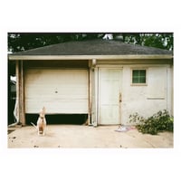 “Watch Dog” 5x7 print