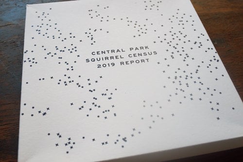 Image of Central Park Squirrel Census 2019 Report