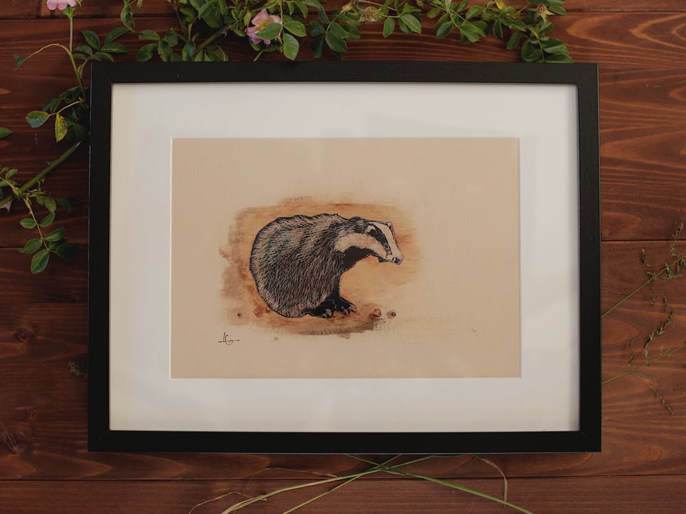 Image of Original Works on Paper Series - Badger - A4/Framed